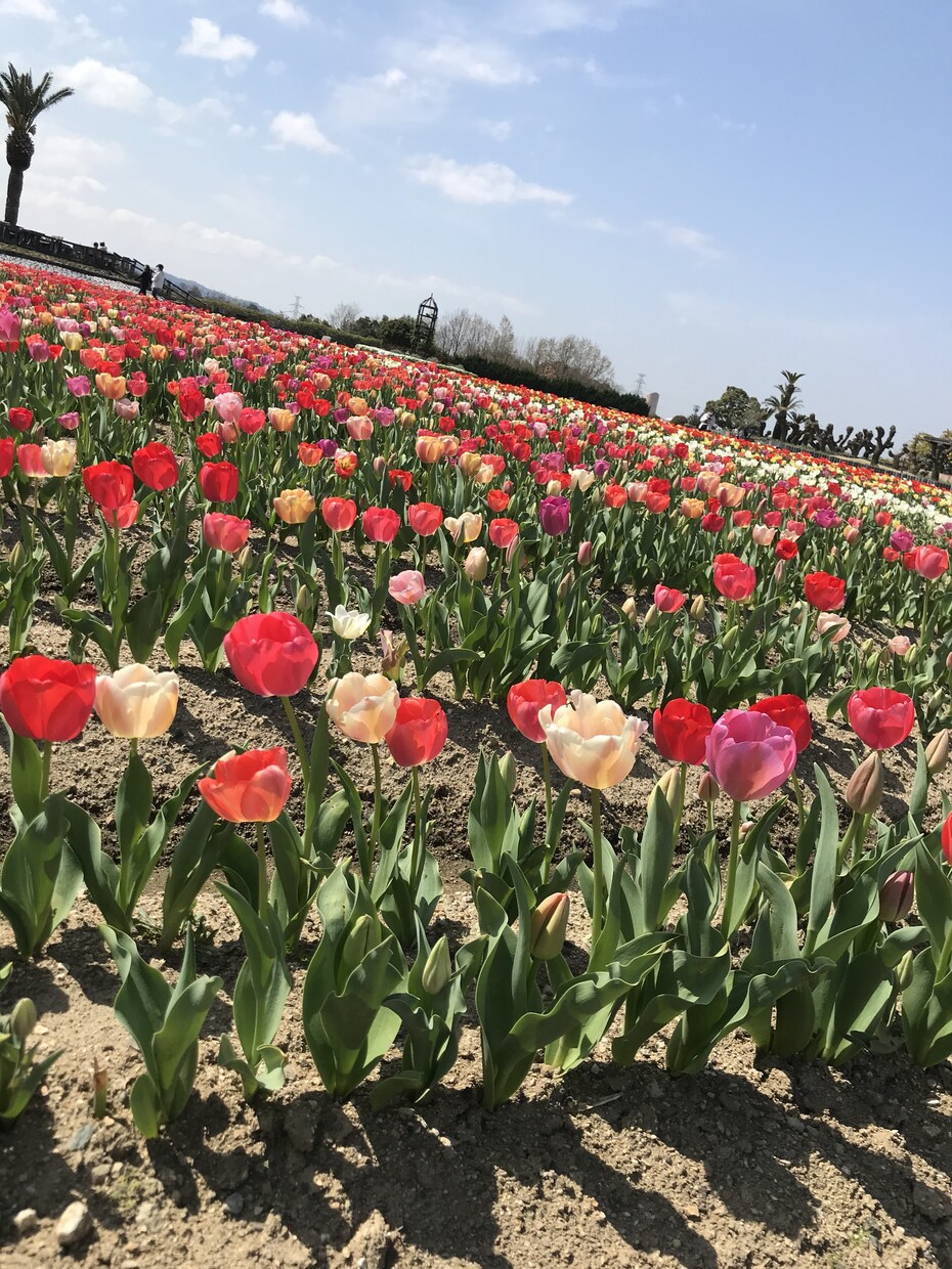 悩み事をしっかり聞きます 大切な自分を1番大事にして行きましょう イメージ3