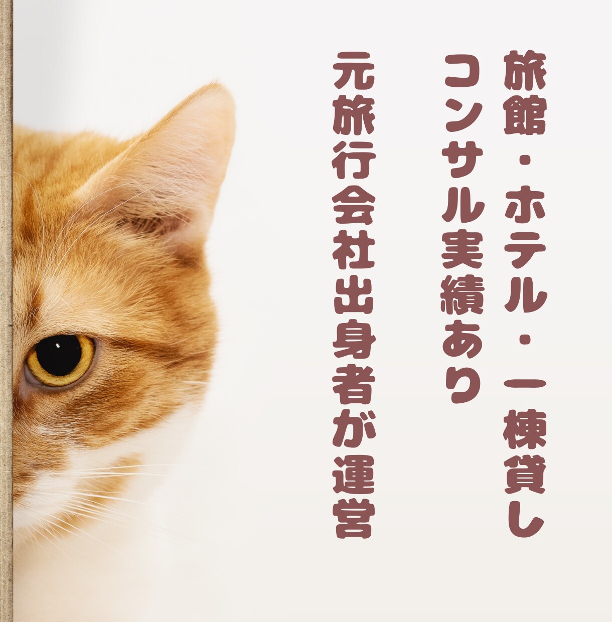 旅館・ホテル★宿泊予約サイトのクチコミ返信します 元旅行会社出身のスタッフが宿の魅力が伝わる返信でサポート イメージ7