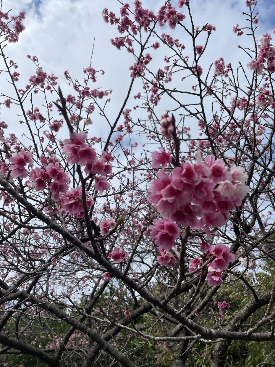 話し相手になります ひまなときの話し相手です、どんな話でも聞きます イメージ1