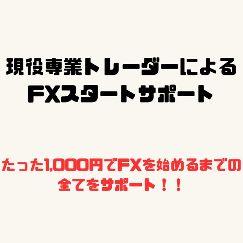 FXを始めるための口座開設や必要知識を教えます FXができるようになるまでの必要手続きや知識を教えます！ イメージ1