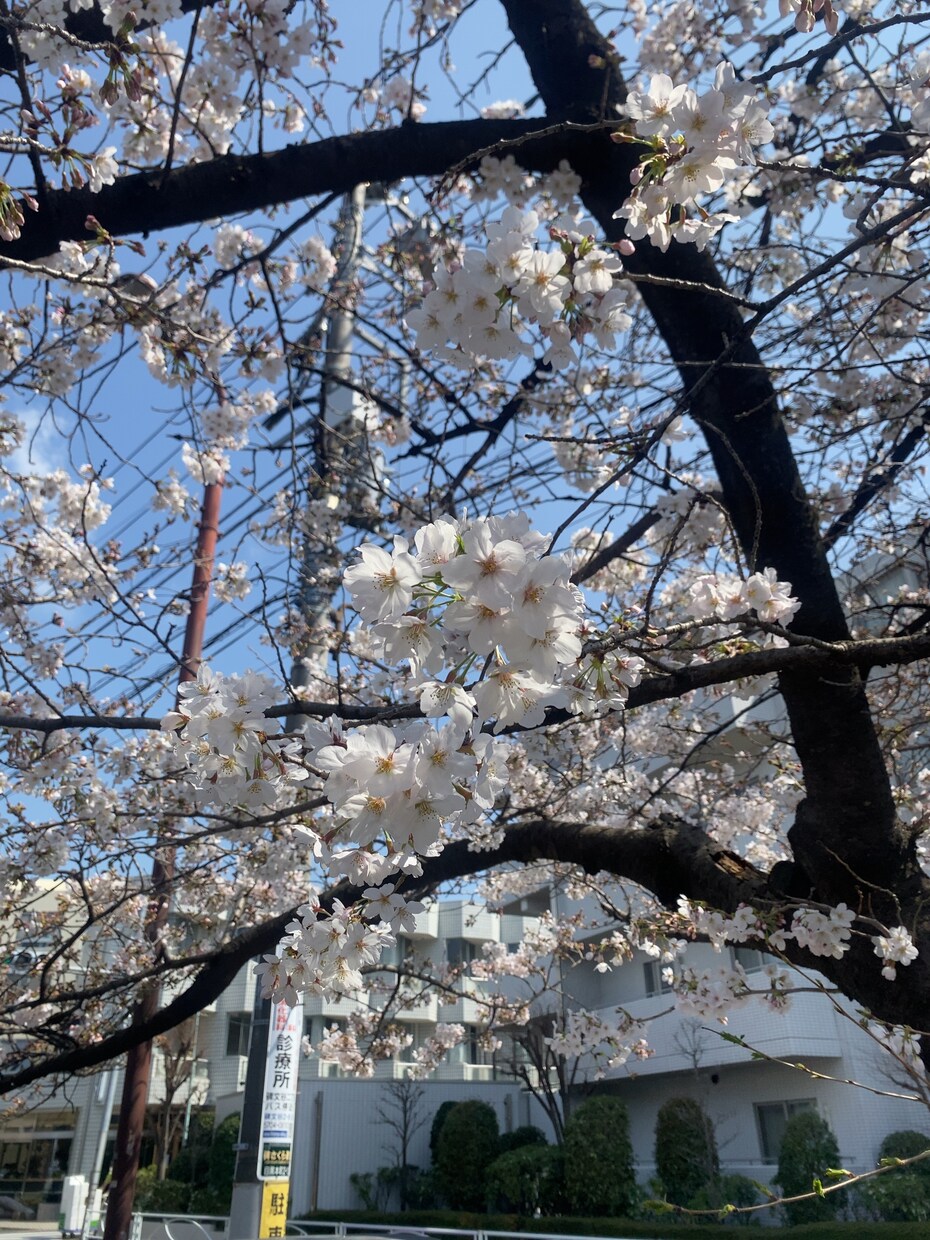 恋愛について不安や不満がある方ご相談乗ります どんな内容のご相談でもお受けいたします！ イメージ1