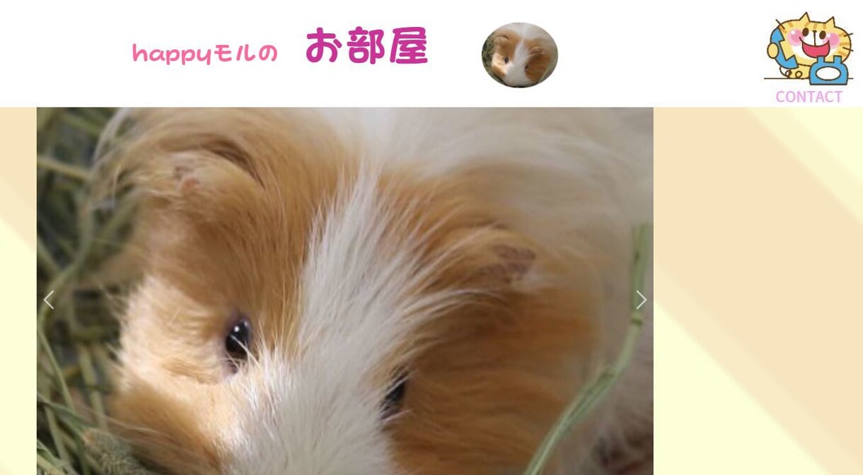 サイト制作します。プラス自分で作りたい方に教えます 将来自分でホームページを編集したい方。教室付きのお値段です。 イメージ6