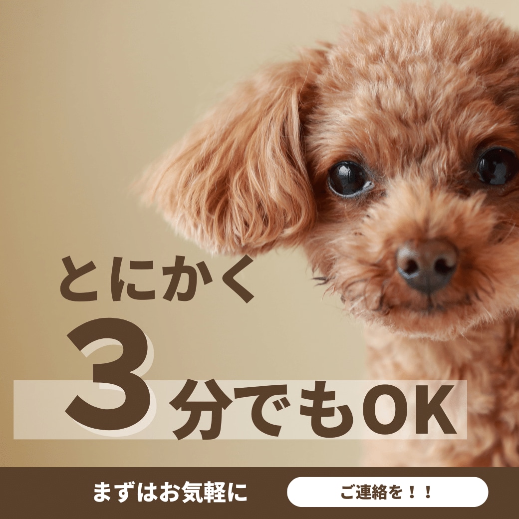 実績抜群のココナラコンサルが売れるアドバイスします 【クーポンの利用先にもぜひ♪】プラチナランカーも多数利用中！ イメージ9
