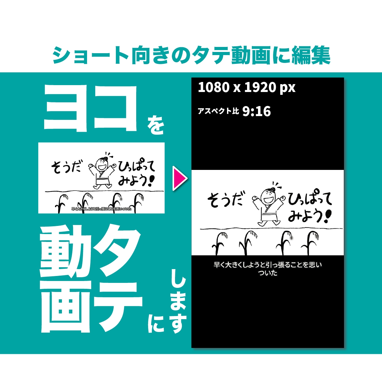 ヨコ動画をタテ動画に編集します スマホのショートにも最適なタテ動画(9:16)にします イメージ1