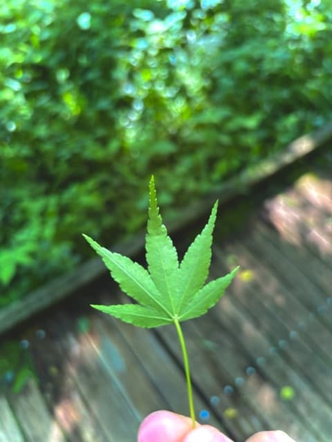 なんでもお話しお聞きします 雑談やお悩み相談、恋愛、人生、なんでもお話しください イメージ1