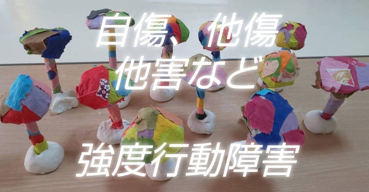 強度行動障害かも？と思える問題行動の詳細解説します 強度行動障害の国研修講師/行動観察から問題行動は改善していく イメージ1