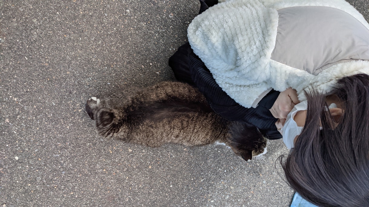 1時間チャット   1時間秘密厳守でチャットします どんな内容も受けとめ、対応致しますのでぜひ送ってみて下さい❀ イメージ1