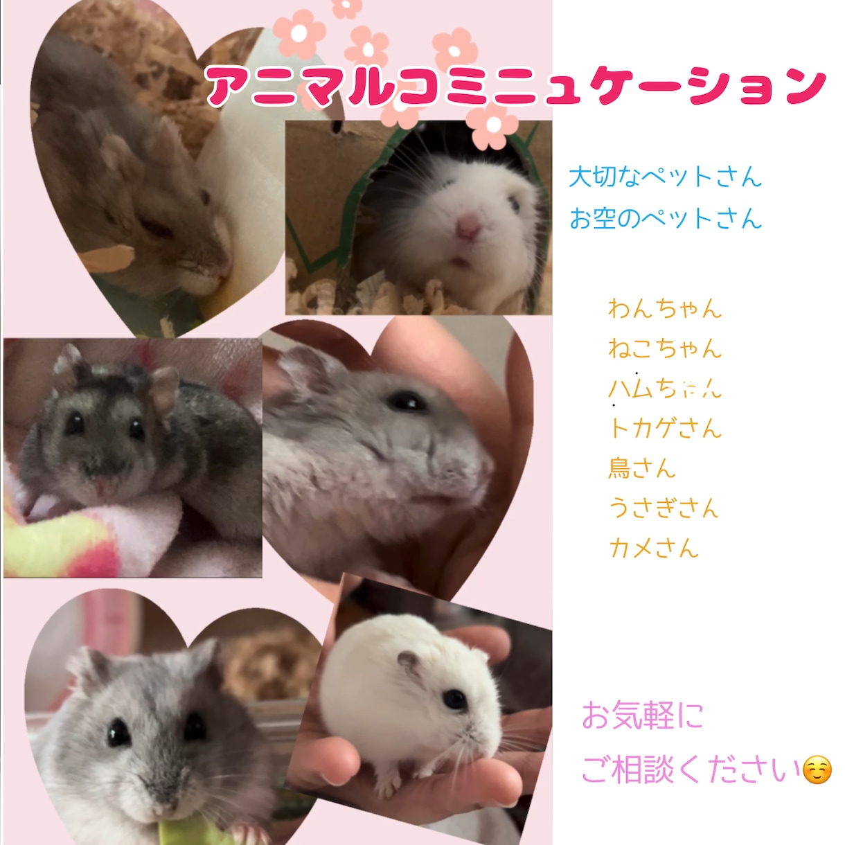 ペットさんと対話いたします 小動物さんに特化⭐︎アニマルコミニュケーション イメージ1