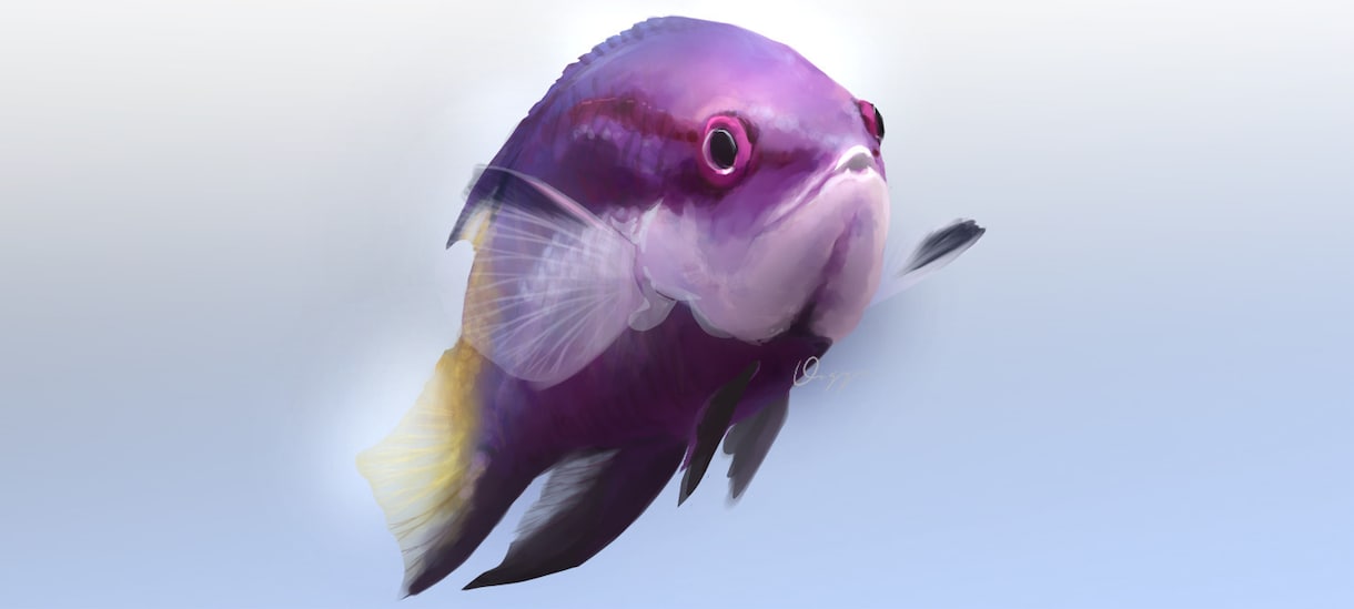 アクアリウム、犬、猫、爬虫類イラスト作成します 魚、犬、猫ほか爬虫類、両生類、虫（奇蟲ok!）、甲殻類など イメージ4