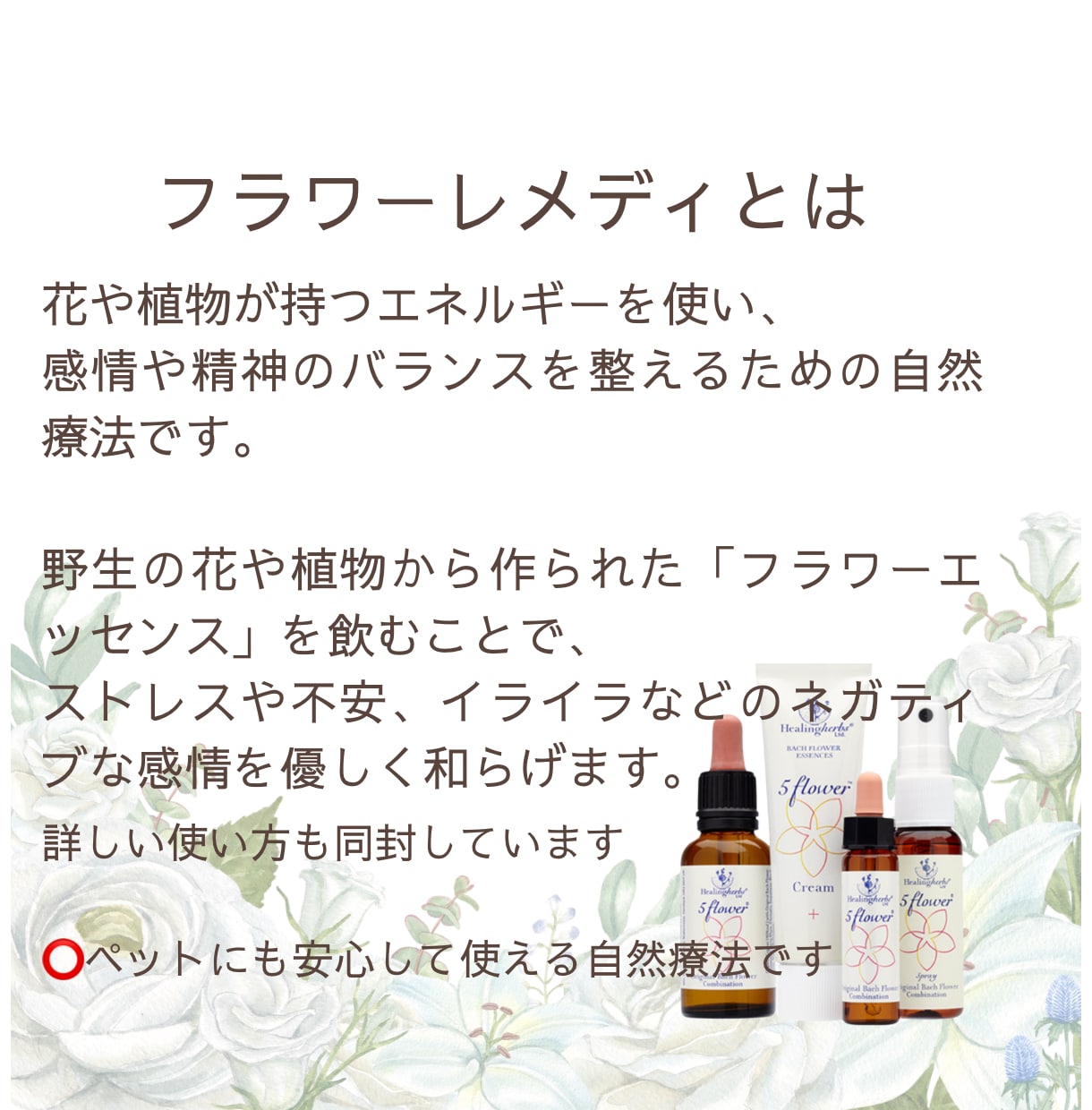 ペットの気持ちをタロットで視ます ※ 生きている子も虹の橋の子も対応。心のケアも丁寧にサポート イメージ6
