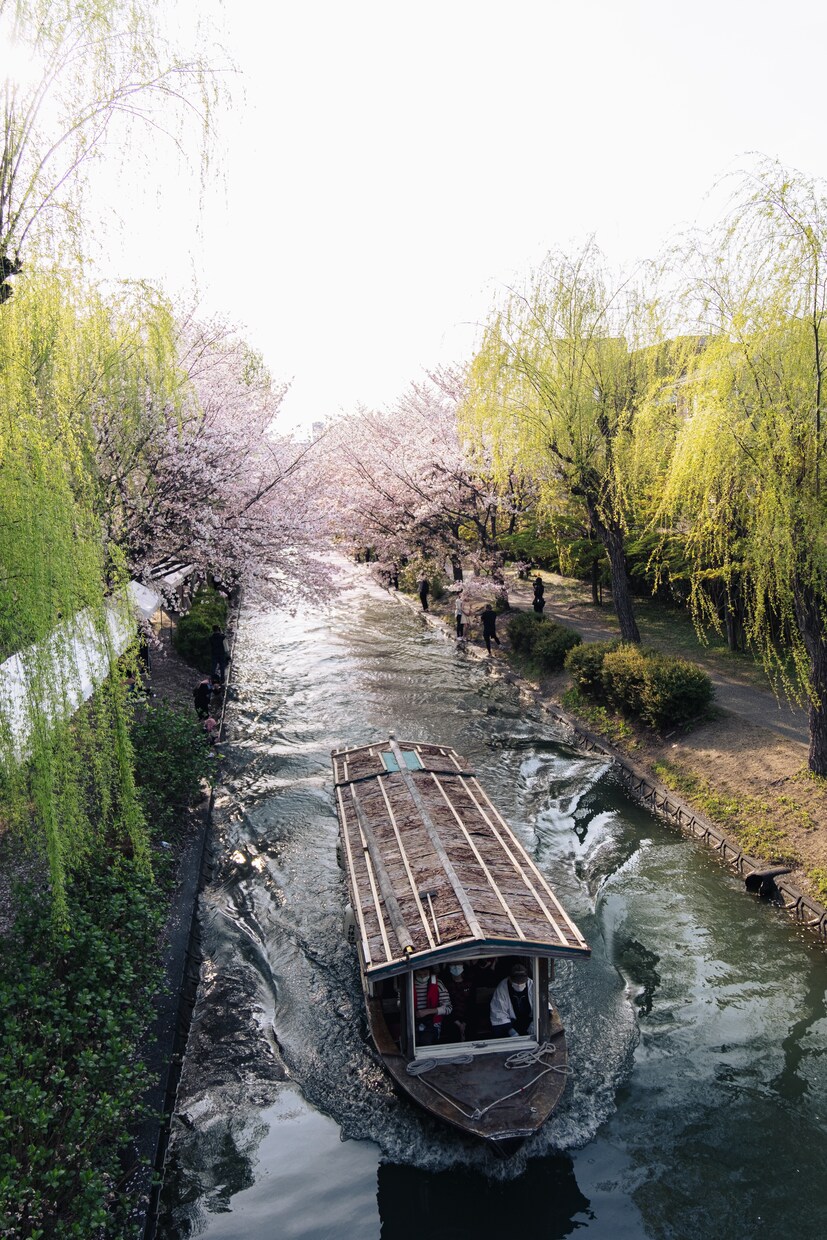 京都で“映える写真”撮影します 祇園・伏見稲荷・嵐山・清水寺など イメージ1
