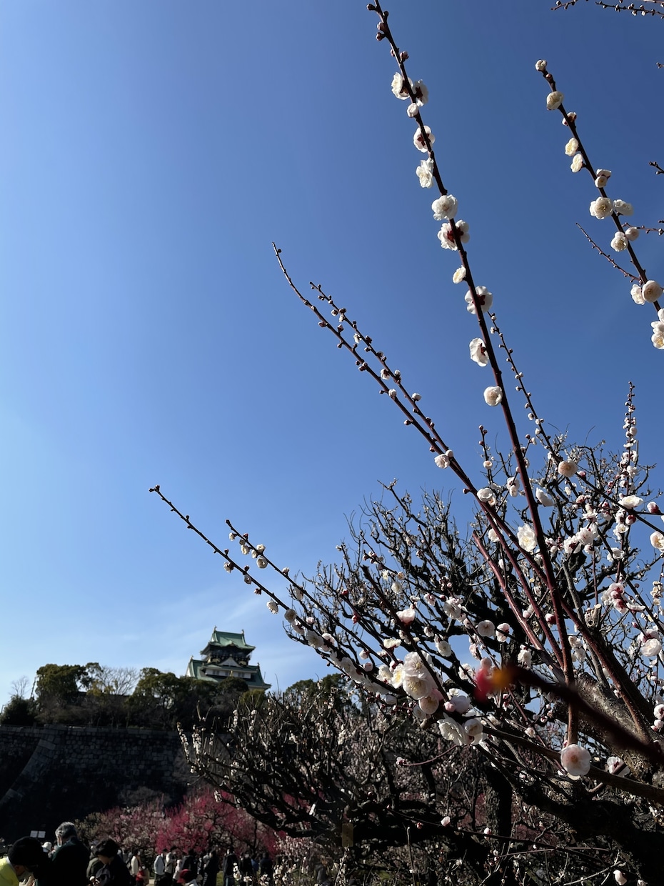 あなたの恋愛相談をポジティブにのります 不安要素を吹き飛ばす恋愛思考を。 イメージ2