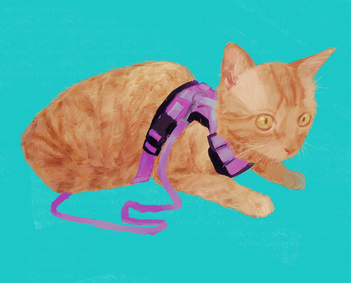 動物・ペットのリアルでポップなイラスト描きます あなたのペットの写真を元にイラストをお描きします！ イメージ2