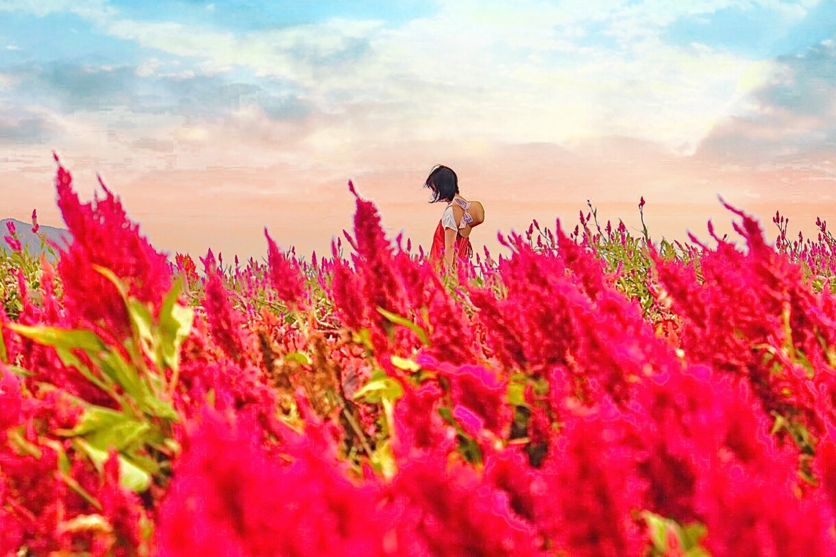 映える兵庫の旅プラン作成します 美しい景色や驚きの体験など映える旅を紹介します イメージ8