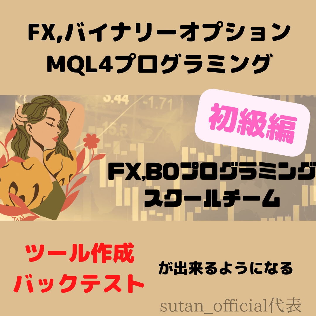 FX,BOプログラミングツール作成教えます MQL言語プログラミング！超基礎編 イメージ2