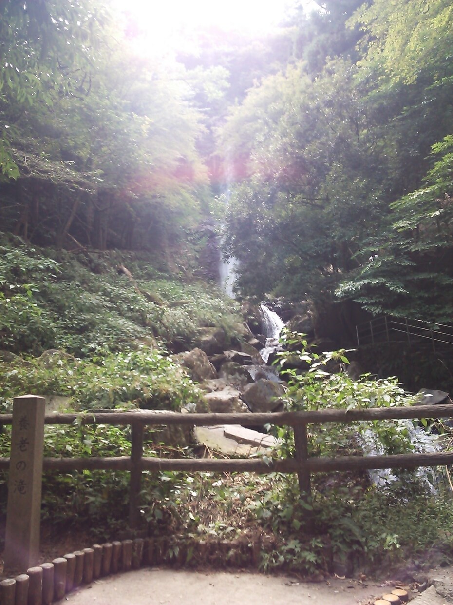 色々な写真提供します どこにでもありそうな写真ですが、お役に立てればと思います イメージ8