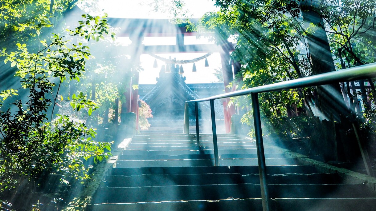 写真を売り、編集します 風景、動物、植物等の写真販売、代行。レタッチも承ります。 イメージ10