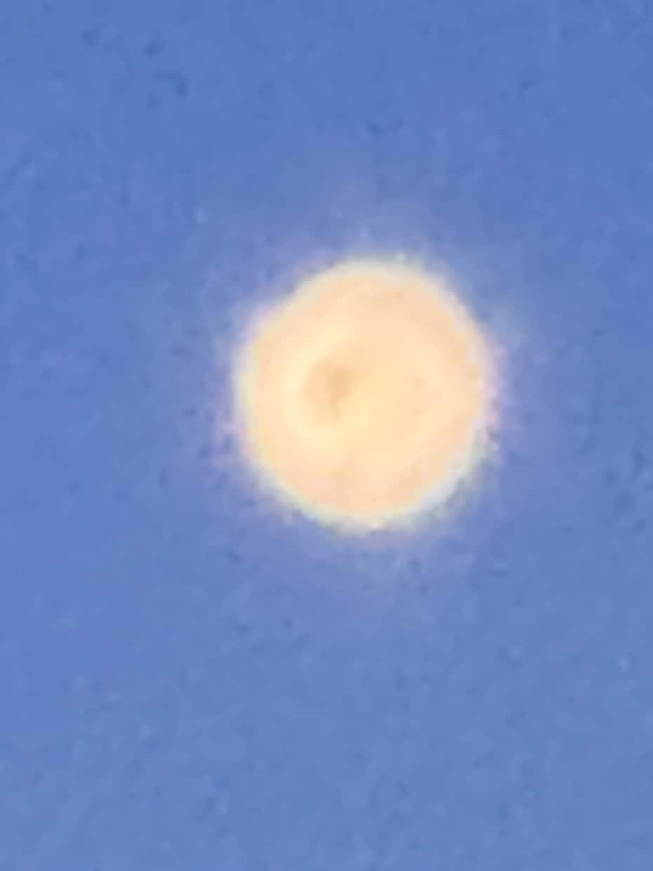 写真提供何でもさせて頂きます！ます 写真提供者、#スカイツリー、思い出作ろうね イメージ2