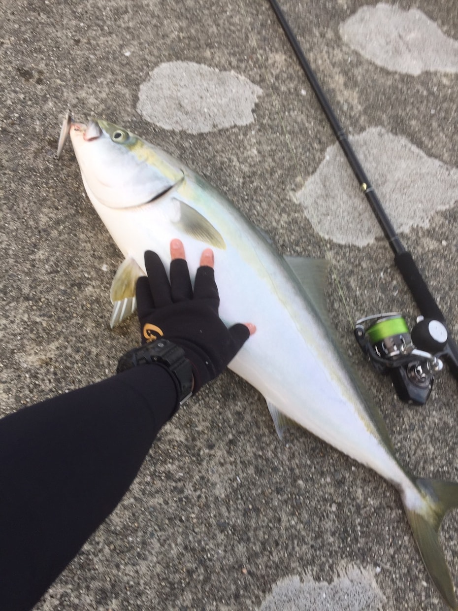 武庫川〜神戸〜明石〜加古川の釣りを教えます 神戸近海の四季折々に釣れる魚とその釣り方を教えます！ イメージ1