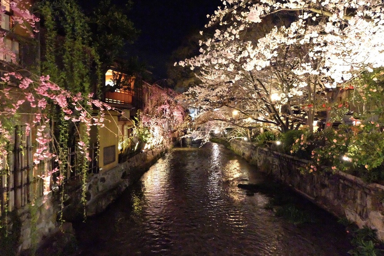 女性目線の写真(主に近畿)販売いたします 主に京都や関西で撮った観光地や自然の写真を販売致します。 イメージ4