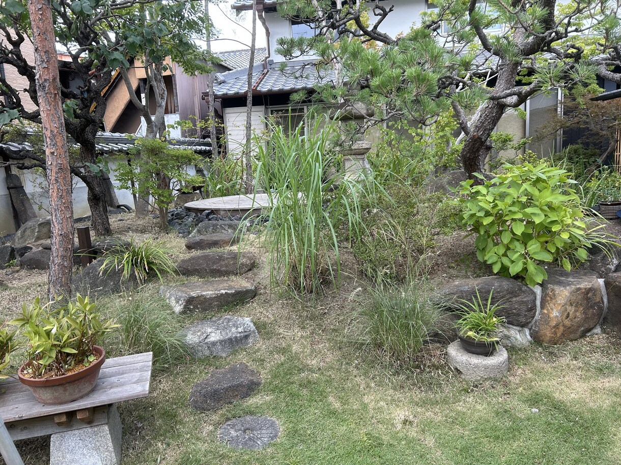 写真から剪定の切り方を提案します 木の状態を見て切り方を伝えます イメージ5