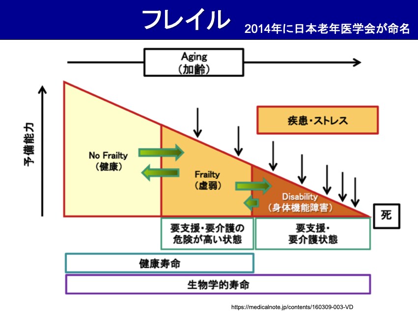 100年歩ける体力チェック【完全版】を公開します 【大手銀行の役員セミナーで好評だった講演の決定版】 イメージ10