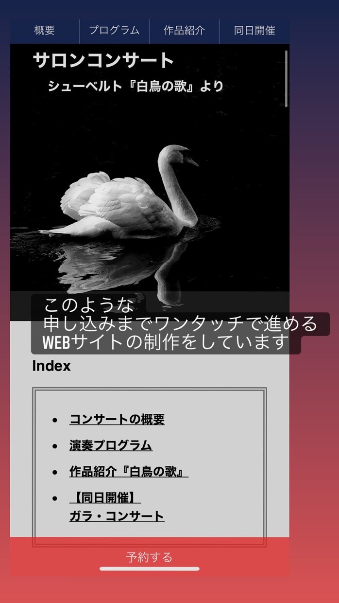 クラシック音楽家の収入に関する相談に乗ります 音楽で稼げない、自分の音楽のスキルで仕事をしたい方むけ イメージ1