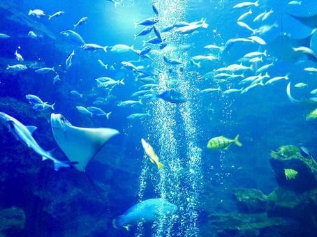 開運のヒント見つけていきます 様々な占術で雑談しながら占います イメージ1