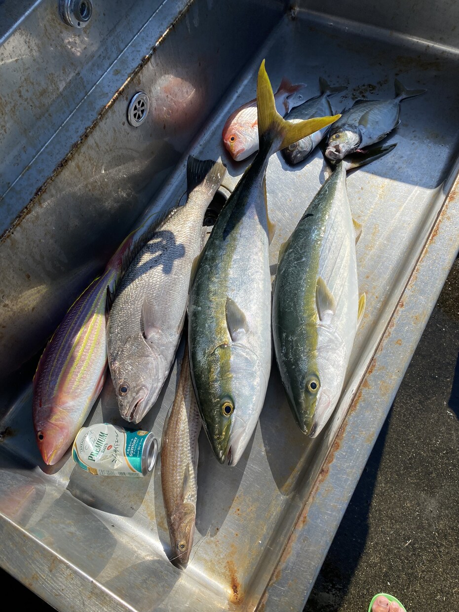 遊漁船漁業主任者の私が釣りのアドバイスをします ココナラ最安値で気軽に相談！遊漁船・釣りの事なら私にお任せ！ イメージ5