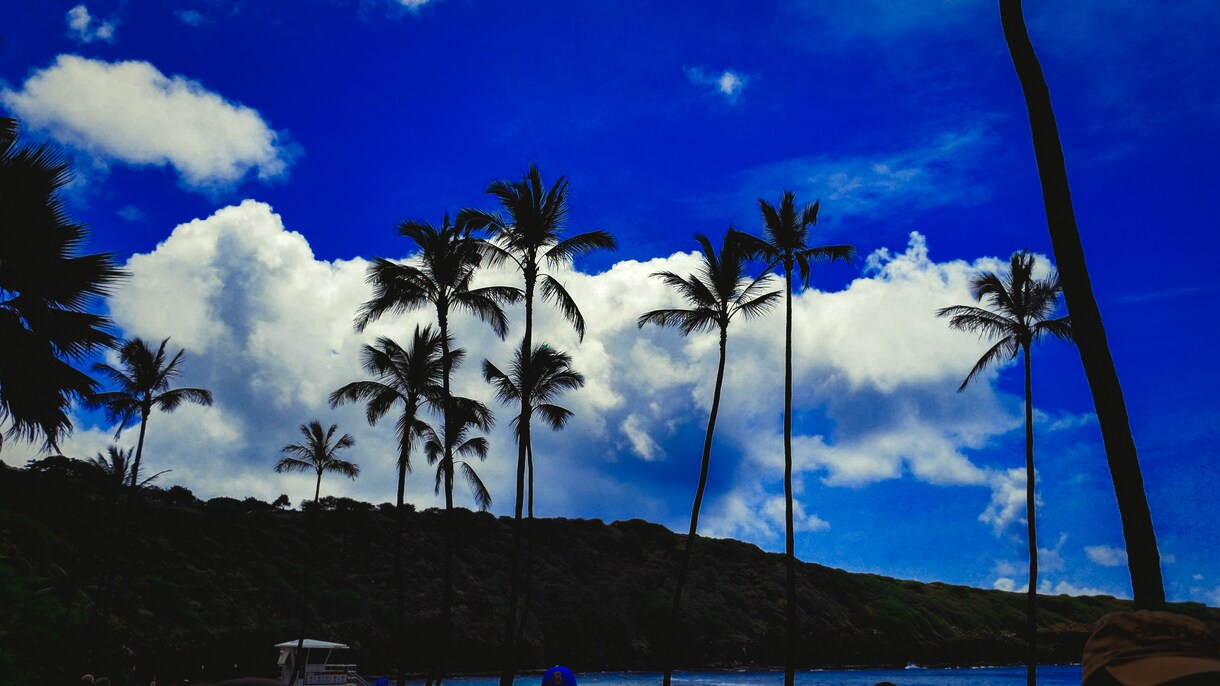 写真の修正をします 普通の写真を見栄えよく修正します。 イメージ8