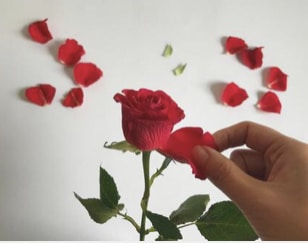 大天使Gabrielが天職をお伝えします 天職、適職を知りたい方向けになります。 イメージ7