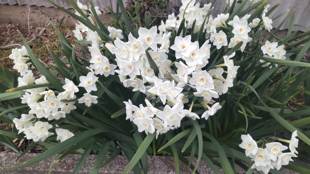 １０名様限定꙳★*ﾟ  カバラ数秘術で占います 統計学占い✨生年月日でみます♪ イメージ1