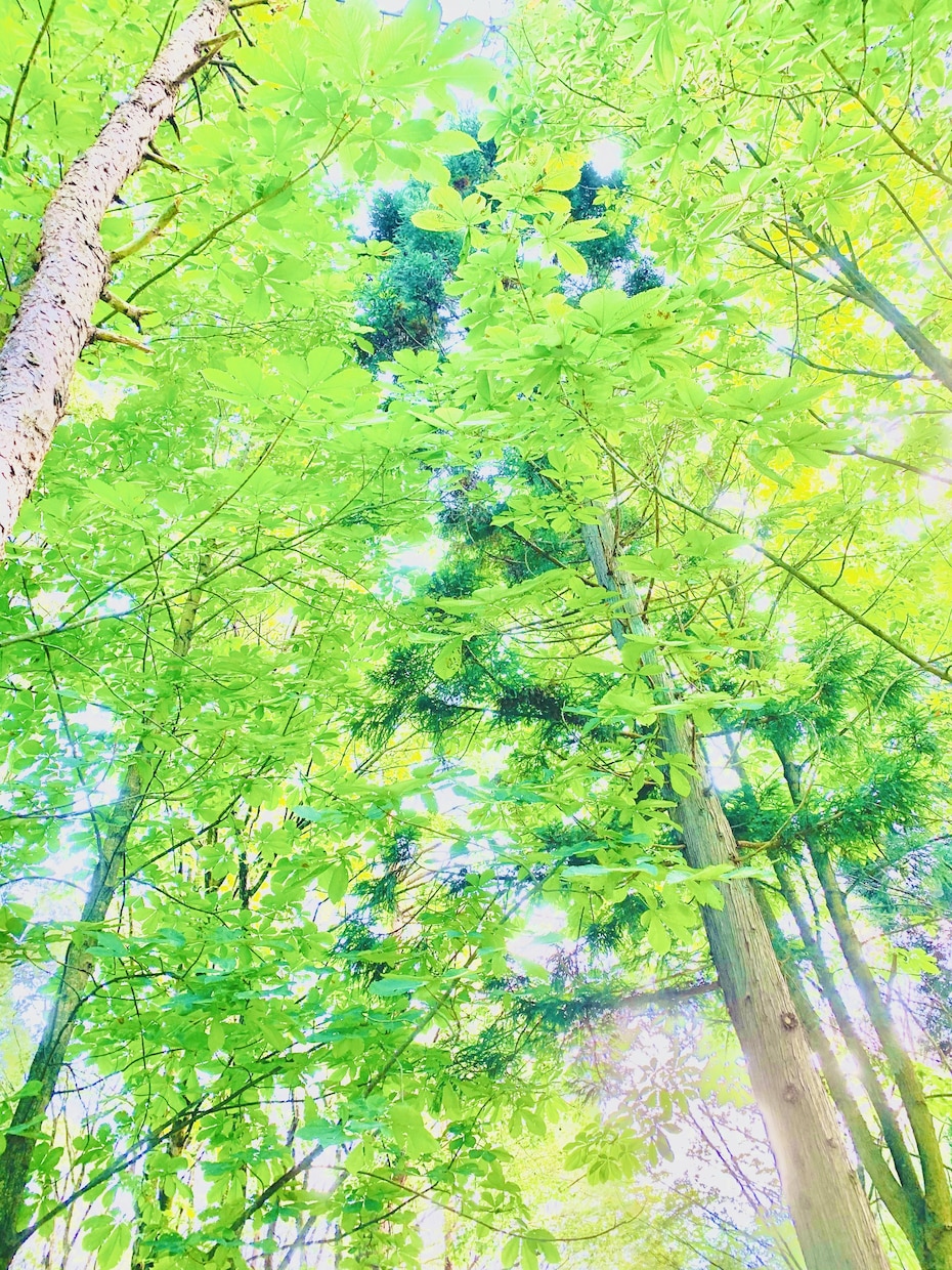 いつでも1時間たっぷり人生相談のります 毎日悩み事があって休めない…悩み事、話してみませんか？ イメージ1