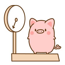 あなたに合ったダイエット健康習慣をアドバイスします 体の内側から整えるダイエット、無理なく続く方法 イメージ1