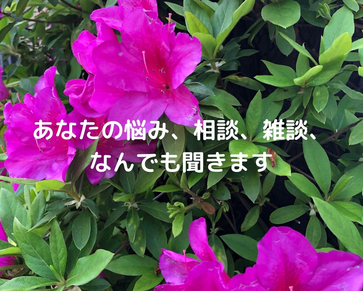 あなたの悩み、相談、雑談、なんでも聞きます オールジャンル対応可能！少しでもあなたの力になりたい！ イメージ1