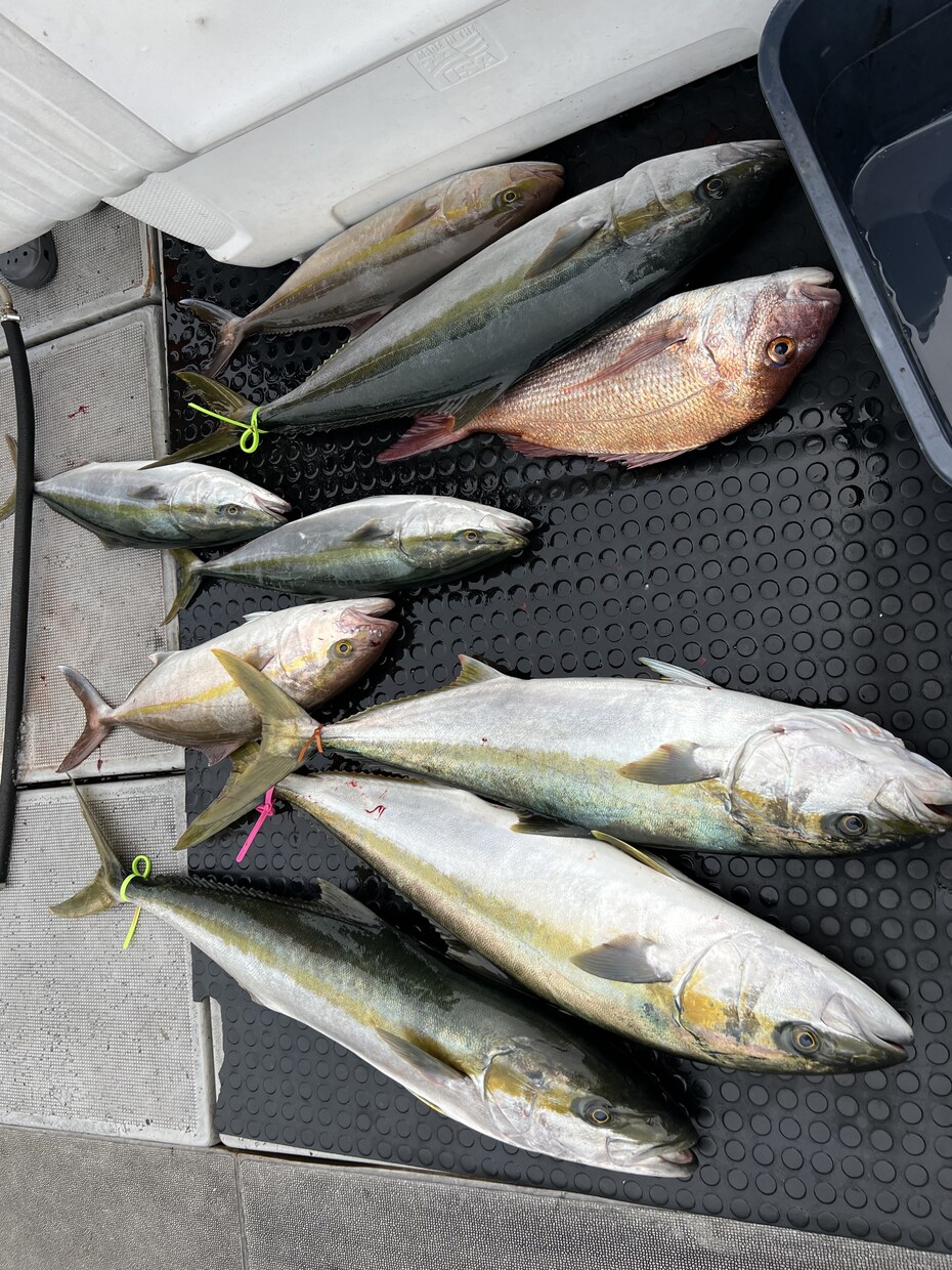 釣り初心者の方にアドバイス致します 釣り初心者方に分かりやすくアドバイスいたします！ イメージ4