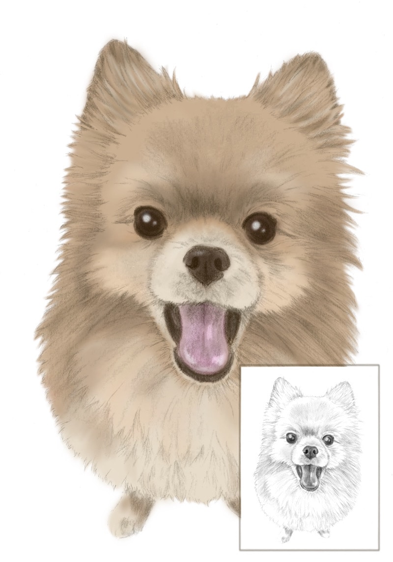 大事な「ウチの子」のカラーアートをお描きします 鉛筆画に色を入れ、ほっこりリアルなアート画にします イメージ6