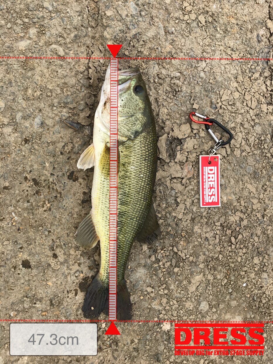 ルアー釣りでお困りの事相談のります 分からない事相談してください！ イメージ3