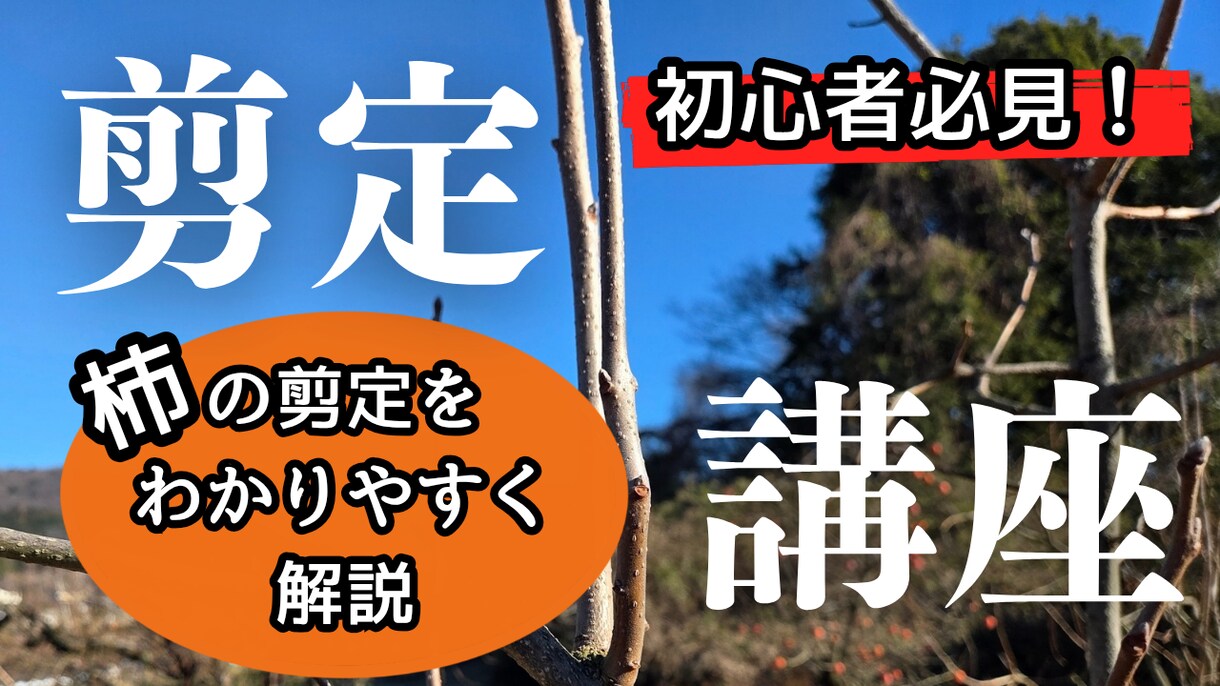 YouTubeのサムネ制作します 【実績あり】初心者向けYouTubeサムネをCanvaで制作 イメージ4