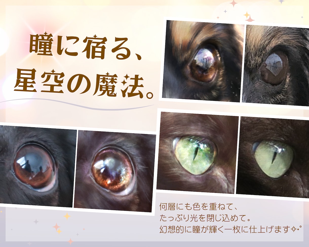 星空のように輝く瞳のペット似顔絵お描きします スマホ待ち受け画像もプレゼント／額装できます／犬猫小動物OK イメージ4