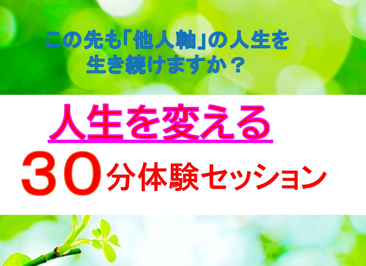 人生を変えるセッション「生きる目的」を言語化します 【初回限定30分セッション】自分で人生を創る！を始めませんか イメージ1