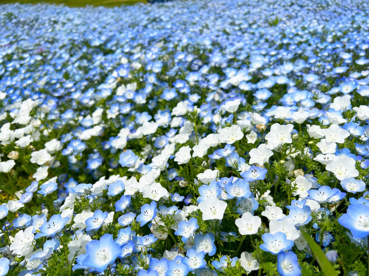 現役セラピストがあなたのお話をお伺いします ♡お試し一分からOK♡お悩みや愚痴、世間話なんでもどうぞ！ イメージ7