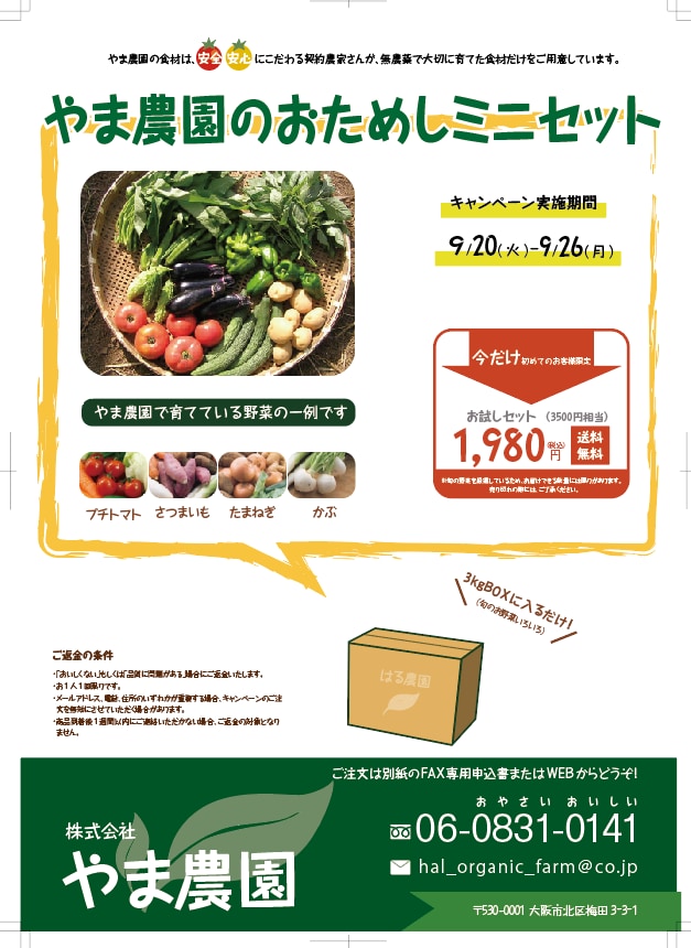 女性向けのフライヤー、リーフレット制作します あなたのイメージ通りのデザインに イメージ1