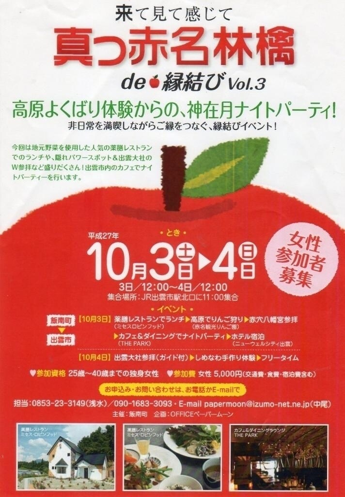 町おこし･出会いパ－ティ、企画相談いたします イベント企画：30年実施しています！ イメージ10