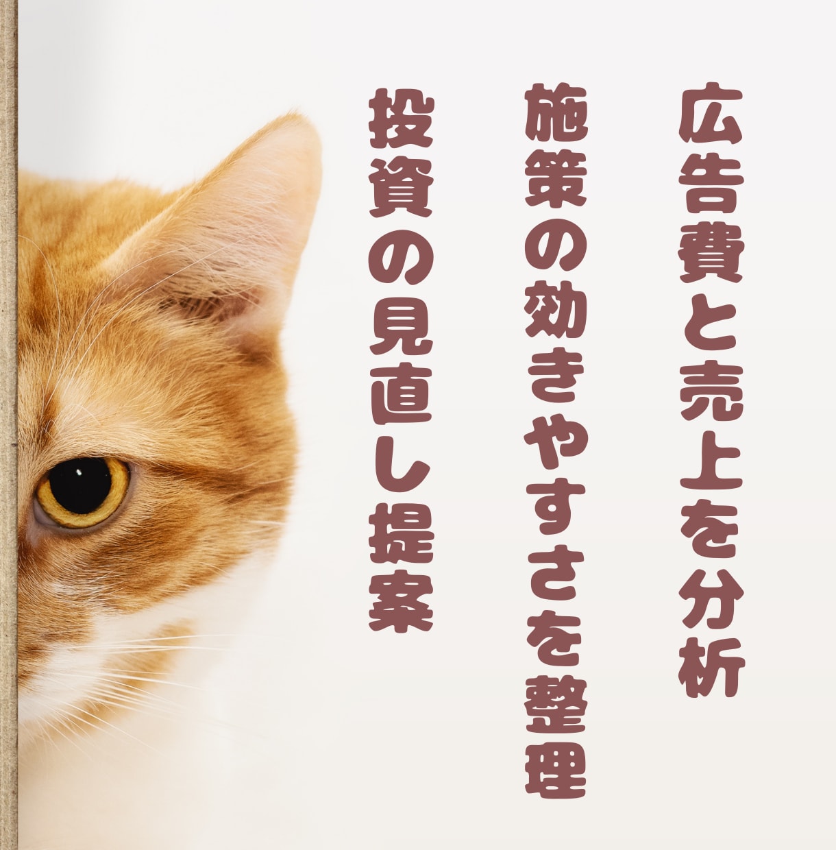 小規模宿向け｜OTA広告の分析レポートを作成します 広告費と予約実績を整理し、経営判断に役立つレポートを作成★ イメージ5