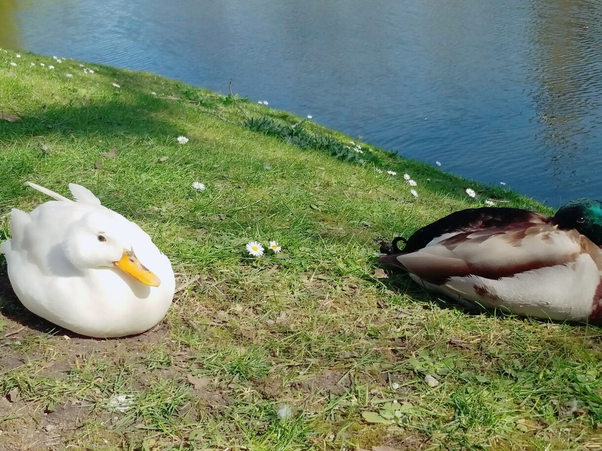 ひろこがお返事返します 送って頂いた内容に対してお返事をお返しします(^-^) イメージ1