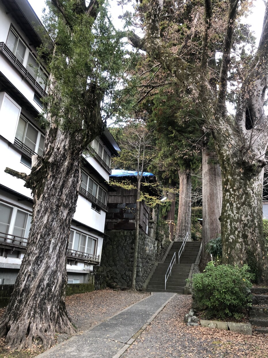 2020年に逃したくない運命の出会い鑑定いたします ♪コロナ、自粛、不安、辛い…そんな今こそ未来を楽しみに♪ イメージ4