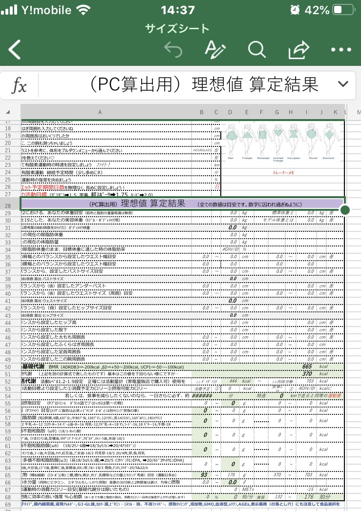 ダイエット相談や理想食事量 サイズ数値で出します 一方通行の動画には出来ない、体型状況別マル秘アドバイス！ イメージ2