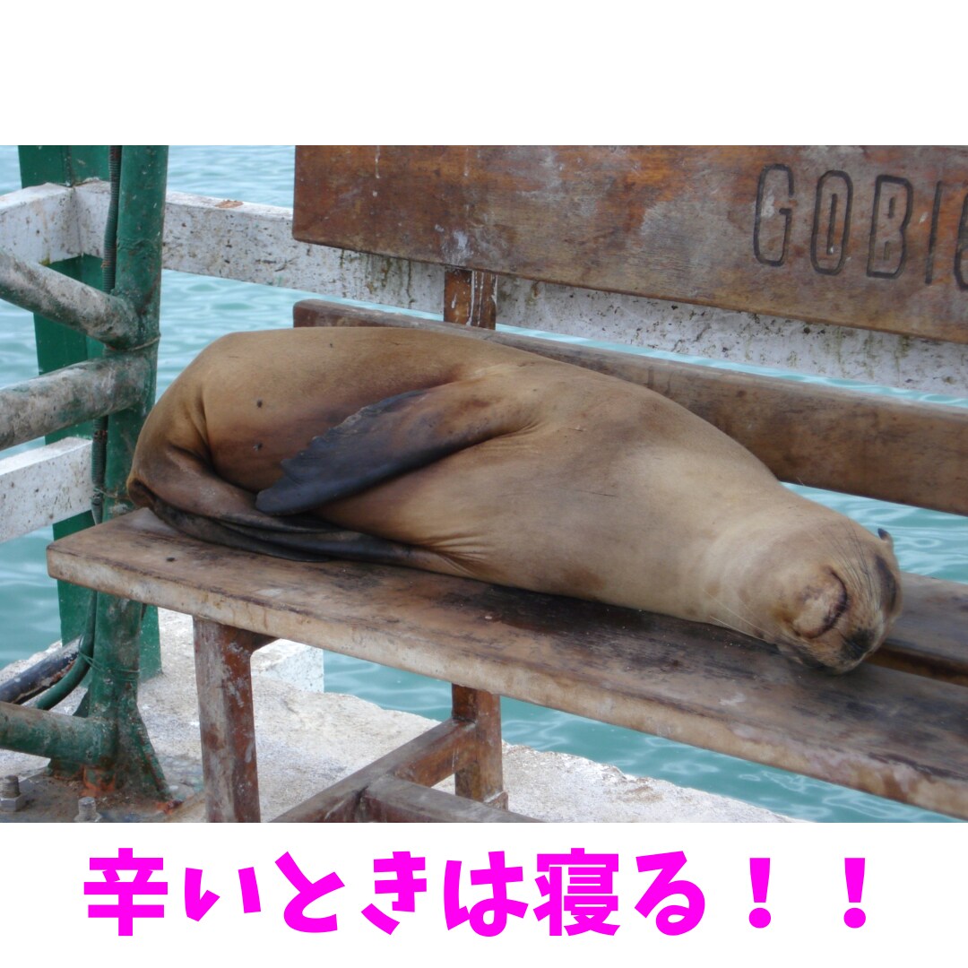 モテ効果抜群❤️笑うことであなたの魅力アップします 毎日ポジティブ⭐️心を明るく前向きにして幸運を引き寄せましょ イメージ7