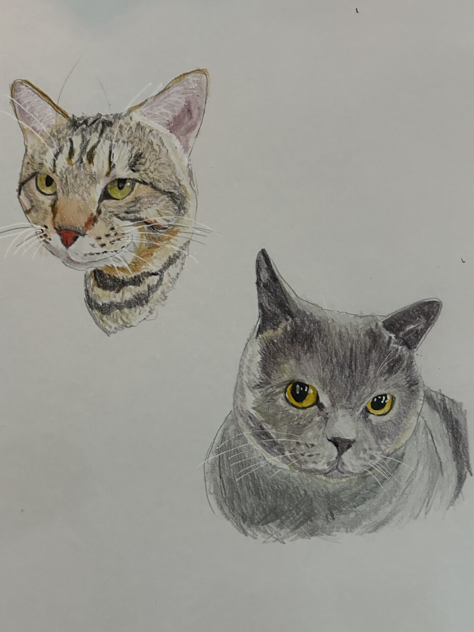 お家の猫ちゃんの似顔絵描きます 色鉛筆で丁寧に仕上げます！！お顔中心に描かせて戴きます。 イメージ8